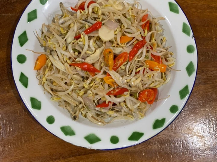 Cara Mudah Menyiapkan Resep Oseng Taoge yang Enak Banget Anti Ribet, Sempurna