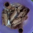 Cappucino twister