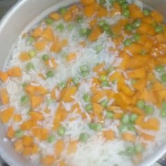 A picture of Vegetable white rice.