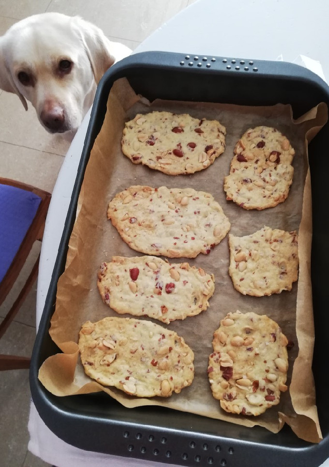 Una foto de "Coquetes de cacau" (cocas de cacahuete). Cocinar con Niños