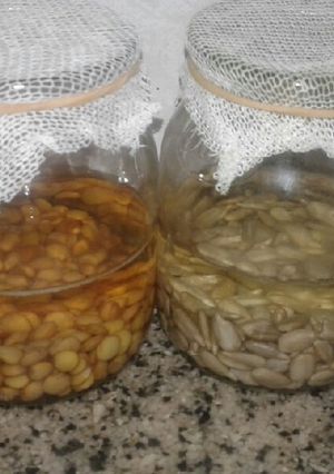 Una foto de Brotes de lentejas y girasol