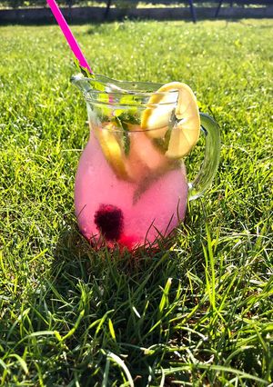 O poză a rețetei Limonadă cu fructe.