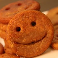 A picture of Smiley.