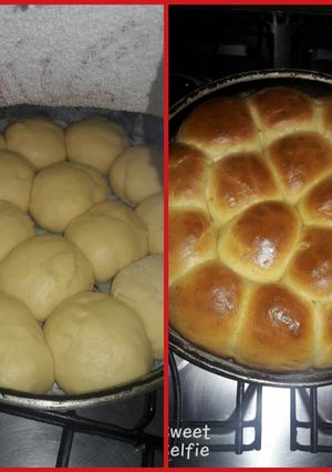 Una foto de Pan de leche en licuadora!