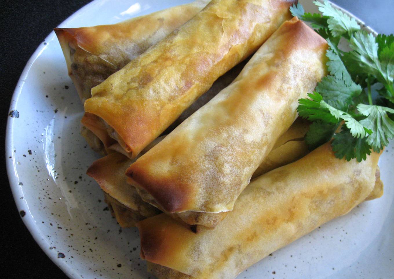 Oven-baked Mexican Spring Rolls