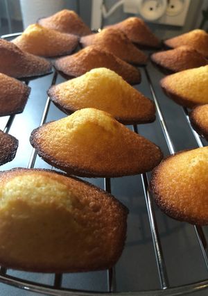 Une photo de Madeleines