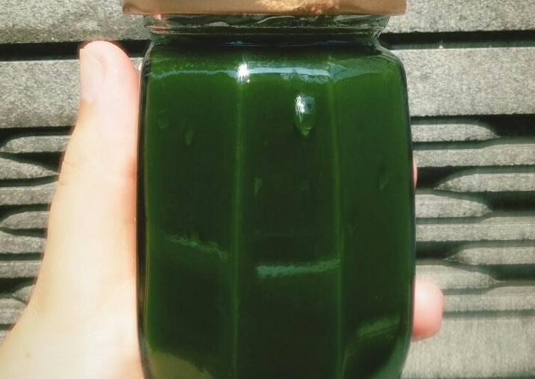Resep Ekstrak Daun Pandan yang Enak Banget
