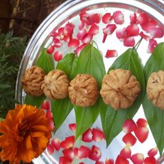 A picture of Fried Modak.
