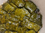 A picture of grape leaves