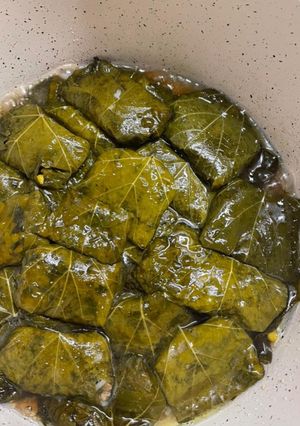 A picture of Stuffed Grape Leaves (Persian Dolma) Recipe.