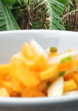 Foto resep Rujak Gohu Manado