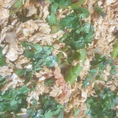 Fajita chicken filling A picture of Fajita chicken filling.