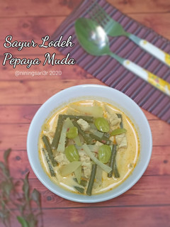 Foto resep Sayur Lodeh Pepaya Muda