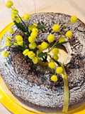 Ciambella d'auguri al cioccolato 🌼🍫💛