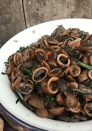 รูปของ คั่วเห็ดถอบ(เห็ดเผาะ)