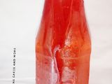 SIGNATURE watermelon drink(redjuice)
