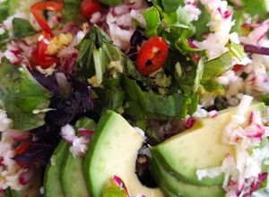Foto de Salada de Rabanete, Chicória e Abacate