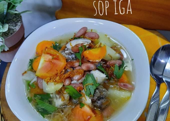 Sop iga