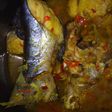 Lempah kuning
