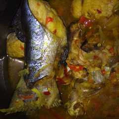 รูปของ Lempah kuning