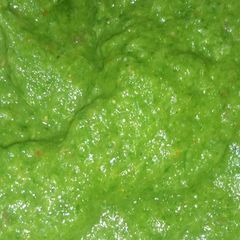 A picture of Green onion chutney.