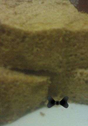 Foto resep Chiffon cake mini tanpa oven