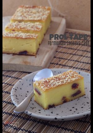 A picture of Prol Tape (Fermented Cassava Cake).