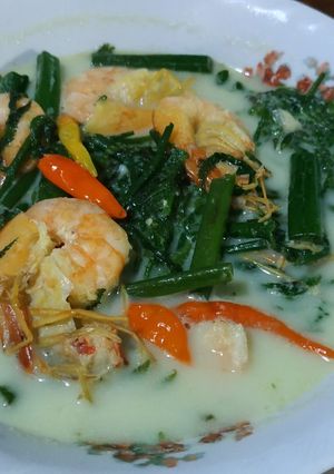 Foto resep Sayur pakis kuah santan..