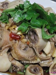 蒜味涼拌生腸 的食譜成品照片