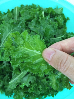 Hình của món Thí nghiệm cùng cải xoăn: kale salad và kale chip.