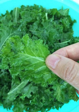 Hình của món Thí nghiệm cùng cải xoăn: kale salad và kale chip.