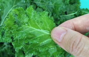 Thí nghiệm cùng cải xoăn: kale salad và kale chip