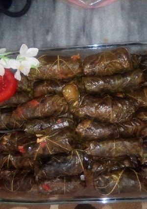 عکسی از دستور دلمه برگ