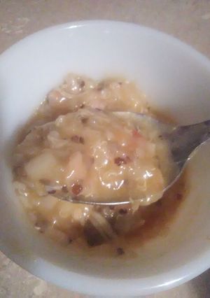 A picture of Egg Roll Wrapper Chicken and Dumplings.