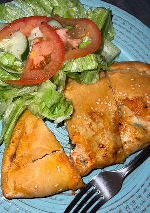 A picture of Calzone 🇮🇹.