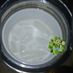 A picture of Kunun aya.