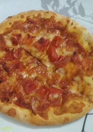 A picture of Cheese Tomato Pizza.