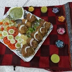 A picture of Chicken tikka shami kababs.