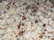 Una foto de pochoclo sin aceite