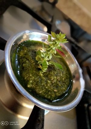 Una foto de Pesto (albahaca)