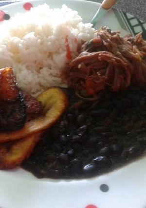 Una foto de Pabellón criollo venezolano