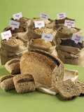 Hineora Cape Seed Loaf