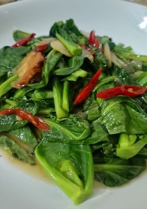 Foto resep Oseng kiciwis