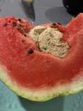 Sandilla con Harina tostada