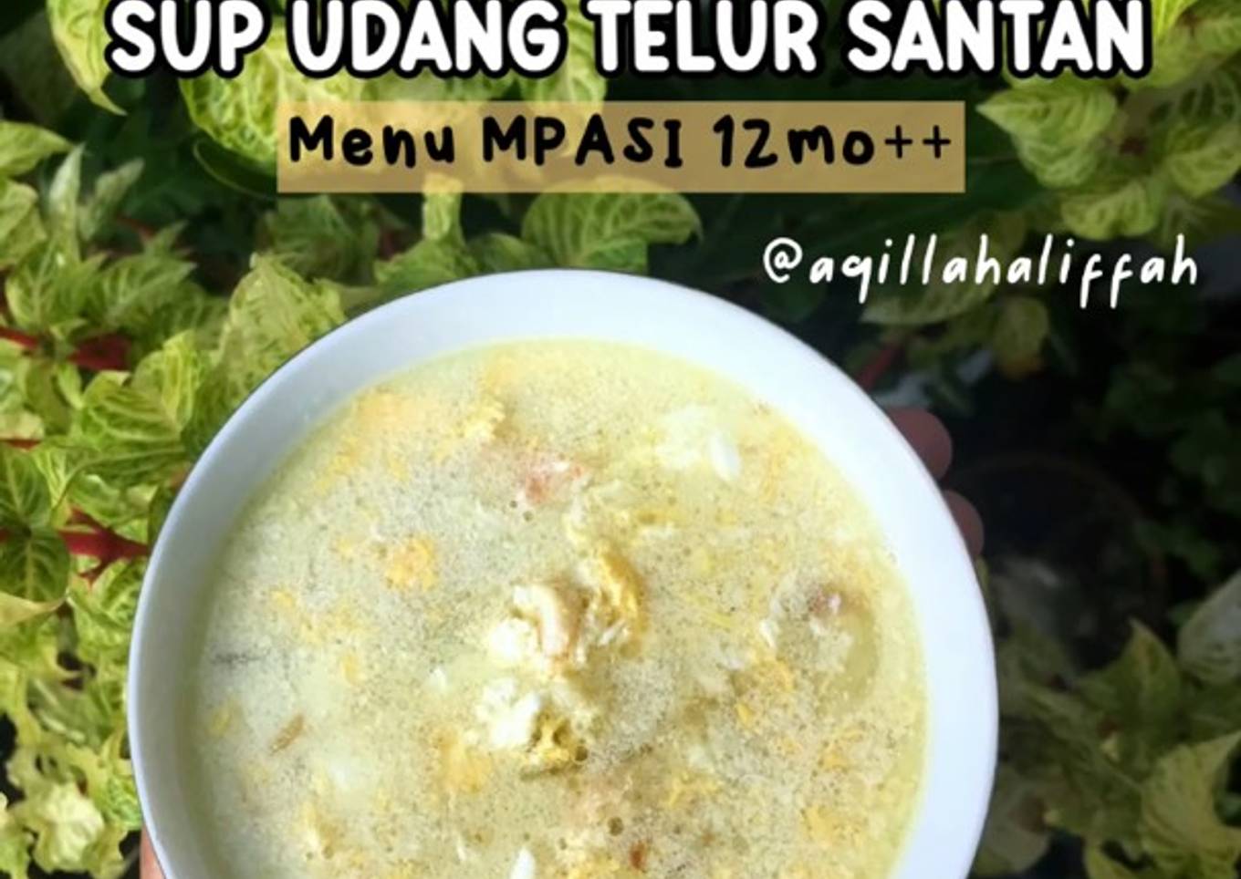Sup Udang Telur Santan (MPASI BB Booster 12mo++)