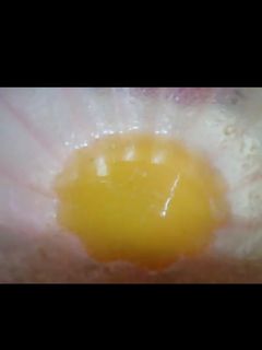 صورة لوصفة شربات الحلويات