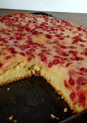 A picture of Red currant pan bread/ Johannisbeeren blechkuchen.