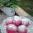 Donat Buah Naga Merah