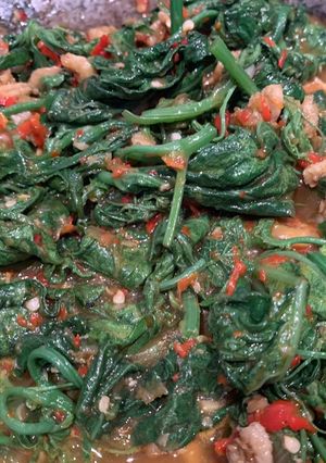 Foto resep Tumis Pucuk Labu Pedas Gurih