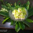 Double colour Toprapak or Coconut Burfi